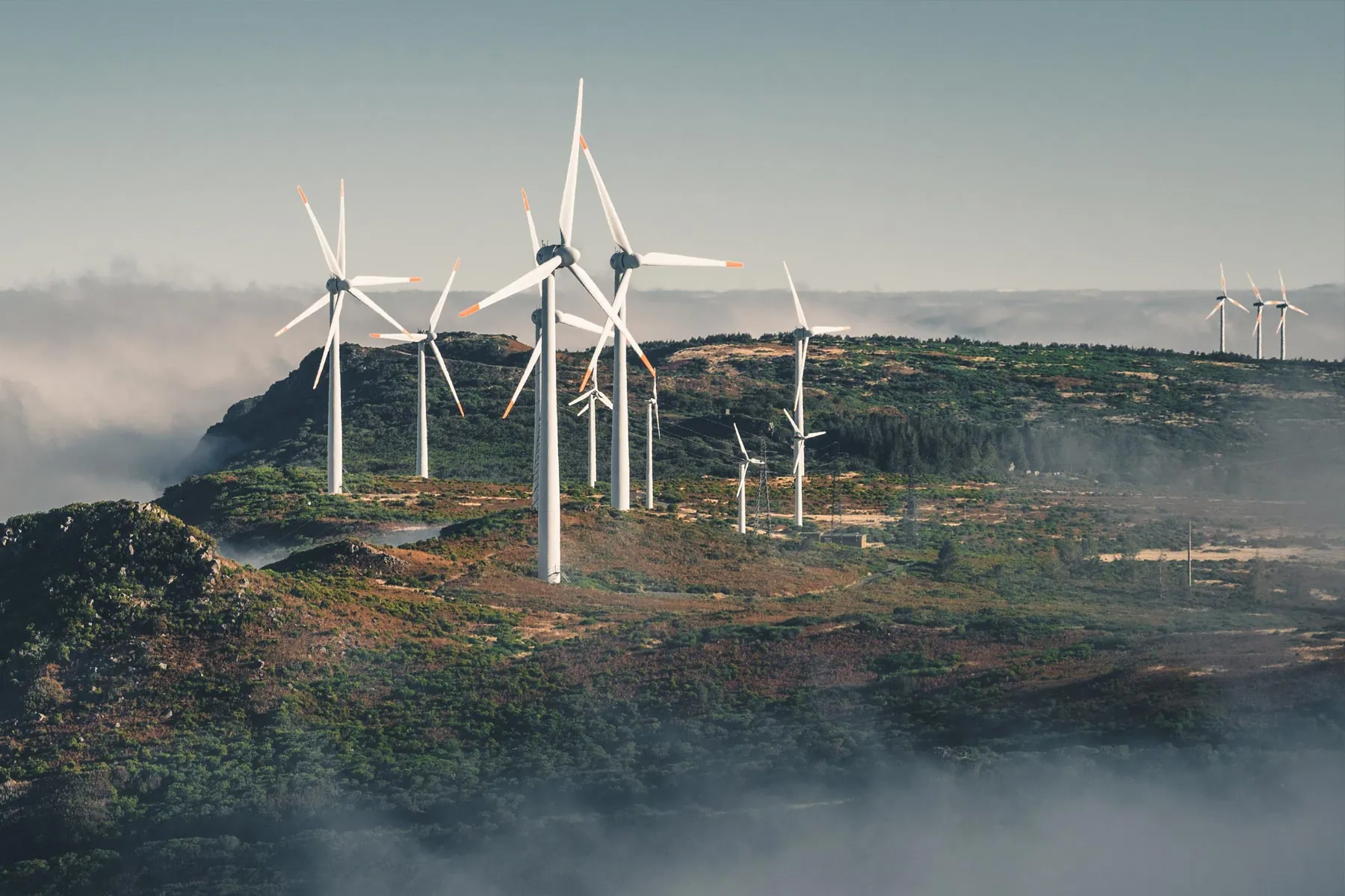 Windparks