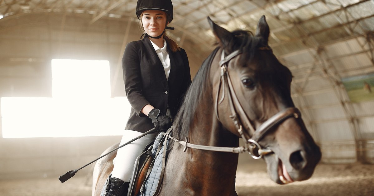 Mounted guards